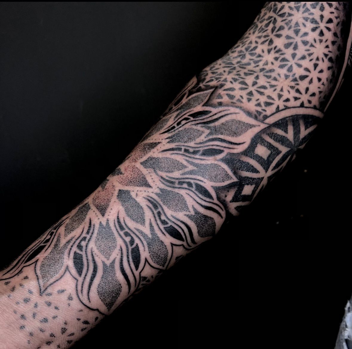 WhatsApp Image 2026-02-10 at 19.58.02 (2).jpeg