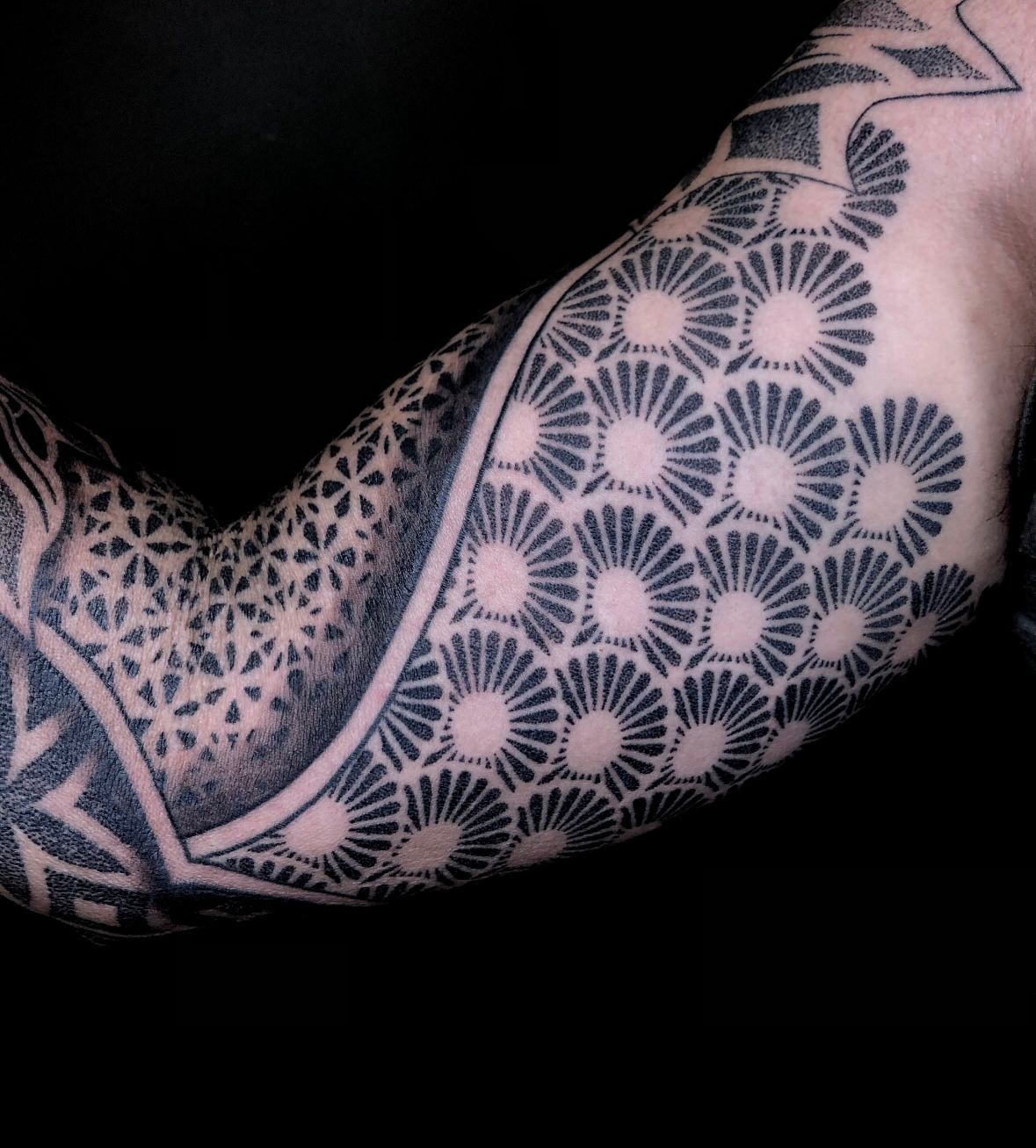 WhatsApp Image 2026-02-10 at 19.58.03.jpeg